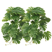 WOLEDOE vue avant du pack monstera pour décor naturel