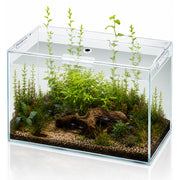Wonderfactory aquarium face avant montrant visibilité claire et esthétique
