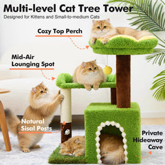 Woochpet gros plan sur la grotte offrant cachette et confort au chat