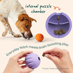 Gros plan du caoutchouc WOOF Flyball, texture douce et résistante pour morsures