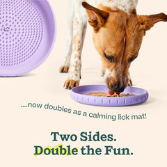 WOOF disque en vol montrant aérodynamisme pour jeux de fetch
