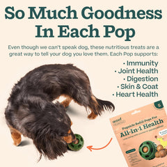 WOOF chien en train de sucer le Pupsicle offrant longue occupation et satisfaction