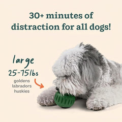WOOF jouet ouvert remplissage facile pour préparation hygiénique et rapide