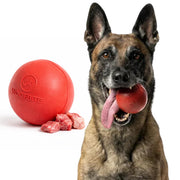 WoofBite balle vue de face montrant robustesse et design durable