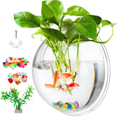 WUWEOT aquarium face avant montrant transparence et présentation décorative