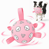 WYNTRIUM ballon de football pour chien face visible, durable pour le jeu