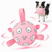 WYNTRIUM ballon de football pour chien face visible, durable pour le jeu