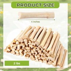 WYOMER gros plan sur la texture du bâton de bambou montrant fibres naturelles bénéfiques