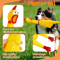 Xeehwb poulet comparaison taille 30 cm utile pour choix de race