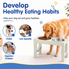 XiaZ gamelle en usage avec chien confort amélioré à table