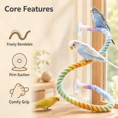 Détail corde tressée Xorabuddy, texture douce qui protège les pattes
