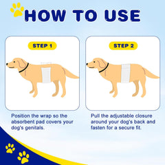 XPCARE indicateur d'humidité en gros plan montrant changement de couleur utile