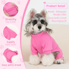 XPUDAC chien en pyjama lors d'une séance photo festive pour un look soigné