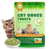 Emballage XQDCICQU Cat Grass Treats montrant design et poids 180g, rassurant pour l'achat