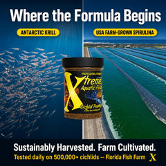 Xtreme Aquatic Foods granulés dispersés dans aquarium favorisant comportement naturel