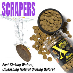 Xtreme Aquatic Foods pastilles dans aquarium illustrant alimentation nocturne contrôlée