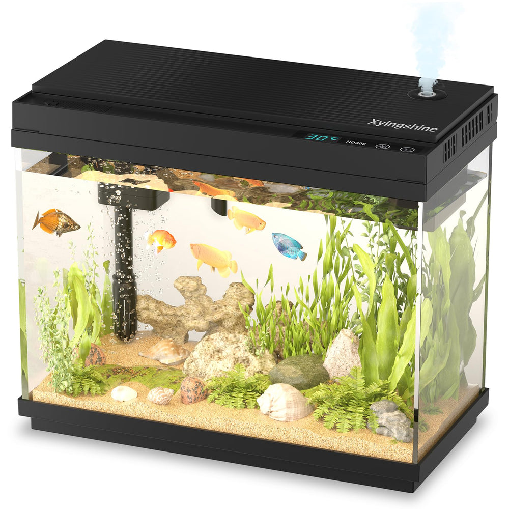 Xyingshine vue avant montrant l'ensemble appareil et clarté de l'eau