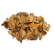 XYZReptiles emballage avant montrant feuilles de chêne et bénéfice sécurité