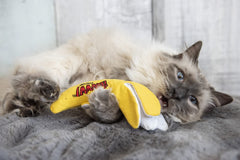 Yeowww! gros plan peau crinkle et tissu twill, texture attrayante pour chat