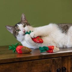 Yeowww! vue du rembourrage montrant herbe à chat biologique pour stimulation