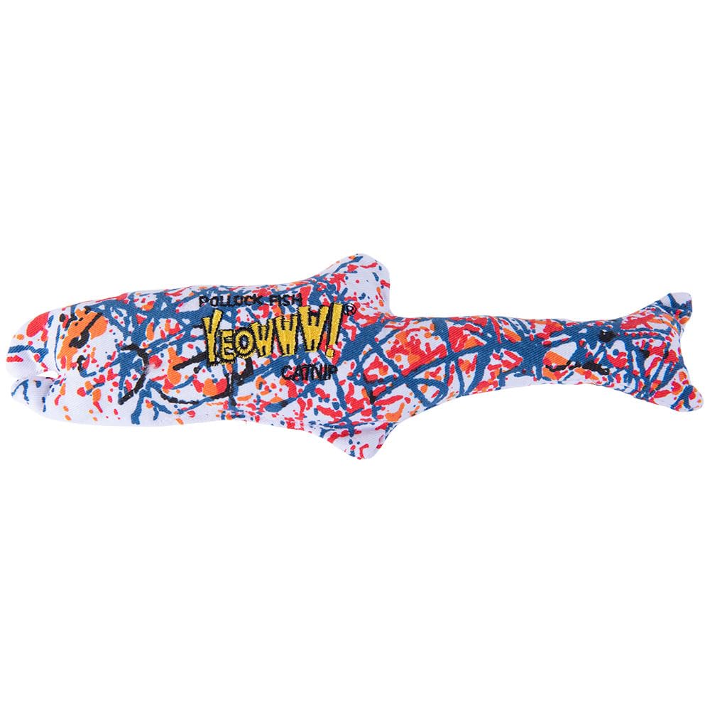 Yeowww! Pollock poisson vu de face, attire le jeu du chat