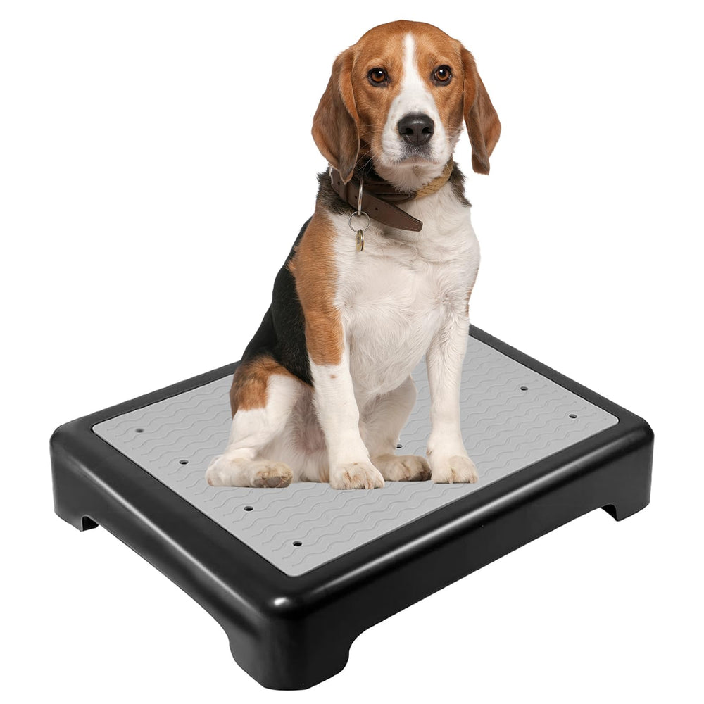 YEXEXINM vue de face de la plateforme stable pour entraînement chien, sécurité renforcée