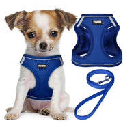 YIMEIS harnais vue avant montrant coupe et confort