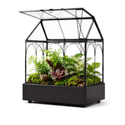 YIMORENCE V terrarium vue de face montrant design maison et présentation décorative