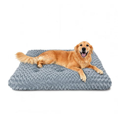 Yintrest tapis chien face avant montrant confort et design