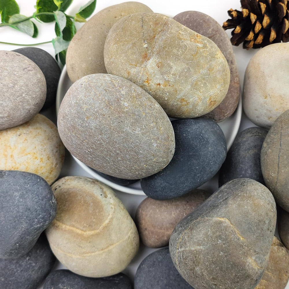 YISZM galets emballage frontal montrant 20 lb pour aménagement