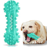 Yivgeoi vue avant du bâton brosse montrant la forme os et les couineurs pour stimulation