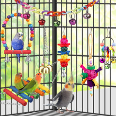 YIXUND installation en cage avec conure stimulant l’activité et le jeu