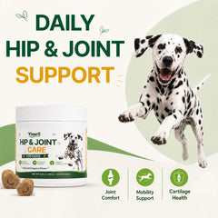 yizeril étiquette lisible indiquant glucosamine chondroïtine MSM