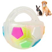 YOOGAO Pet balle vue de face montrant forme et design, idéale pour lancer