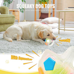 YOOGAO Pet chien tenant la balle en main favorisant le rapport interactif