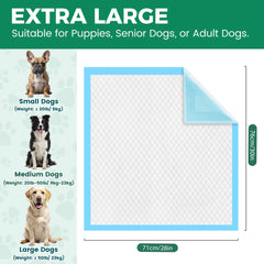 YOPETKI tapis XL 28x30 pouces visible face avant pour protection quotidienne