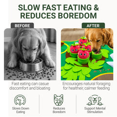 YOPSI chien qui renifle tapis démontrant ralentissement de la prise alimentaire