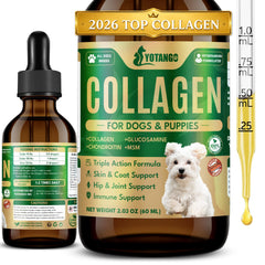 YOTANGO flacon avant montrant emballage et dosage pratique