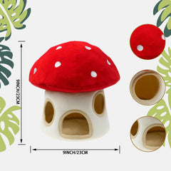 YOUBEMAGIC chien jouant avec raton extrait, favorise l’activité mentale