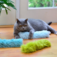 Chat en train de jouer avec kicker Youngever illustrant stimulation et activité physique