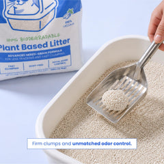 Yucaloo comparaison taille des grains montrant absorption rapide