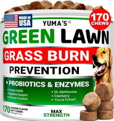 YUMA'S emballage avant montrant pot et mention 170 chews pour économie