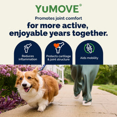 YuMOVE étiquette détaillée affichant ingrédients actifs et concentrations