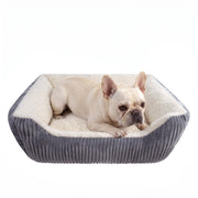 YUNIQUE lit petit chien face montrant confort et design