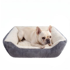 YUNIQUE lit petit chien face montrant confort et design