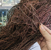YZHZOM racines de face montrant forme naturelle et esthétique