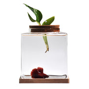 Zaborik bol betta vue avant montrant design carré et clarté