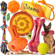 Zeaxuie emballage du coffret 12 jouets montrant variété et robustesse
