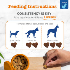 Zesty Paws chien mange friandise, appui digestion et confort