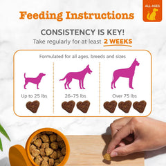 Zesty Paws chiot prenant une friandise bénéfice appétence et soutien articulaire